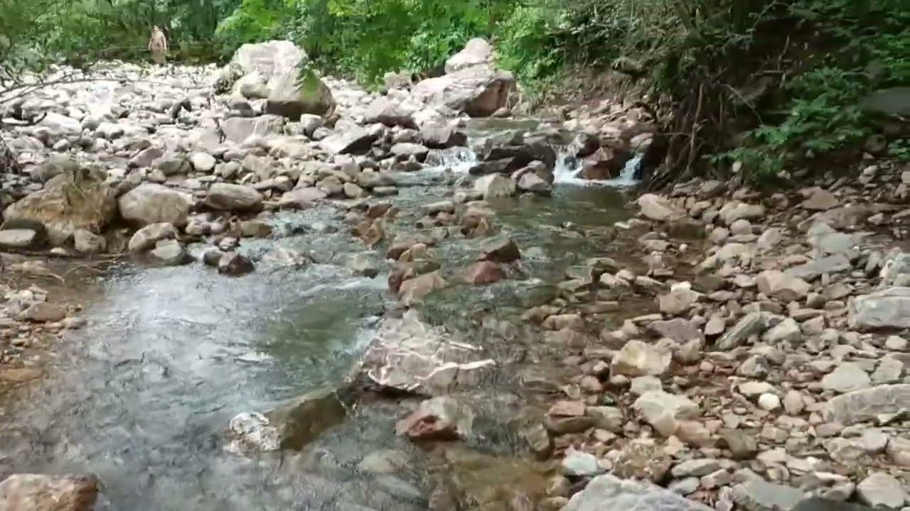 Kids playing in river