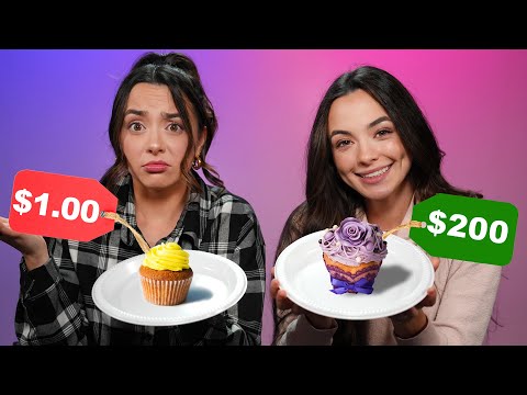 Can we GUESS Cheap VS Expensive THINGS! - Merrell Twins
