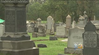 Restorations Completed At Vandalized Jewish Cemetery