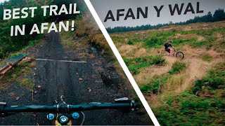 The Y Wal Trail is So Sick // Afan Forest Park MTB