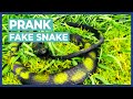 Fake Snake Prank | Rubber Snake Scares Asian Tour Golfers