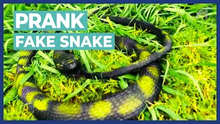 Fake Snake Prank | Rubber Snake Scares Asian Tour Golfers