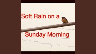 Soft Rain on a Sunday Morning screenshot 2