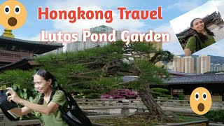Hongkong Travel Lotus Pond Garden