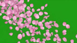 Pink Petals Falling 🌸💗 Green Screen Video | Free 4K Overlay | No Copyright screenshot 4