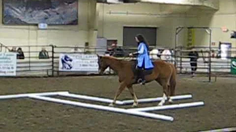 2011 Midwest Horse Fair Wind Rider Challenge Ivy S...
