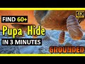 Pupa Location | Grounded (2025)