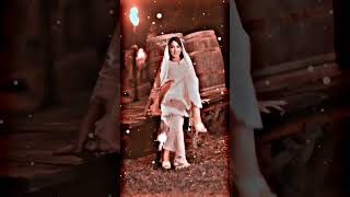 I Love Belly Flipping My Dog