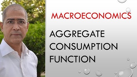 16 Macroeconomics: Aggregate consumption function