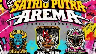 LIVE  SATRIO PUTRA AREMA ft RAGA SURYA X SURO KENCONO ARUM LOKASI TUTUT ARJOWINANGUN MALANG