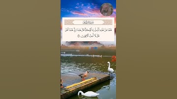 تلاوة خاشعة للقارئ هيثم الدخين سورة الانعام اية 74_76