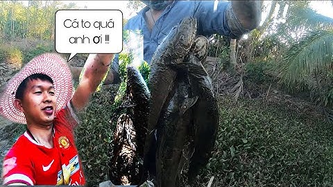 Bắt cá mùa khô ở tây nguyên  | thành quar /Catching fish in dry season  | the end