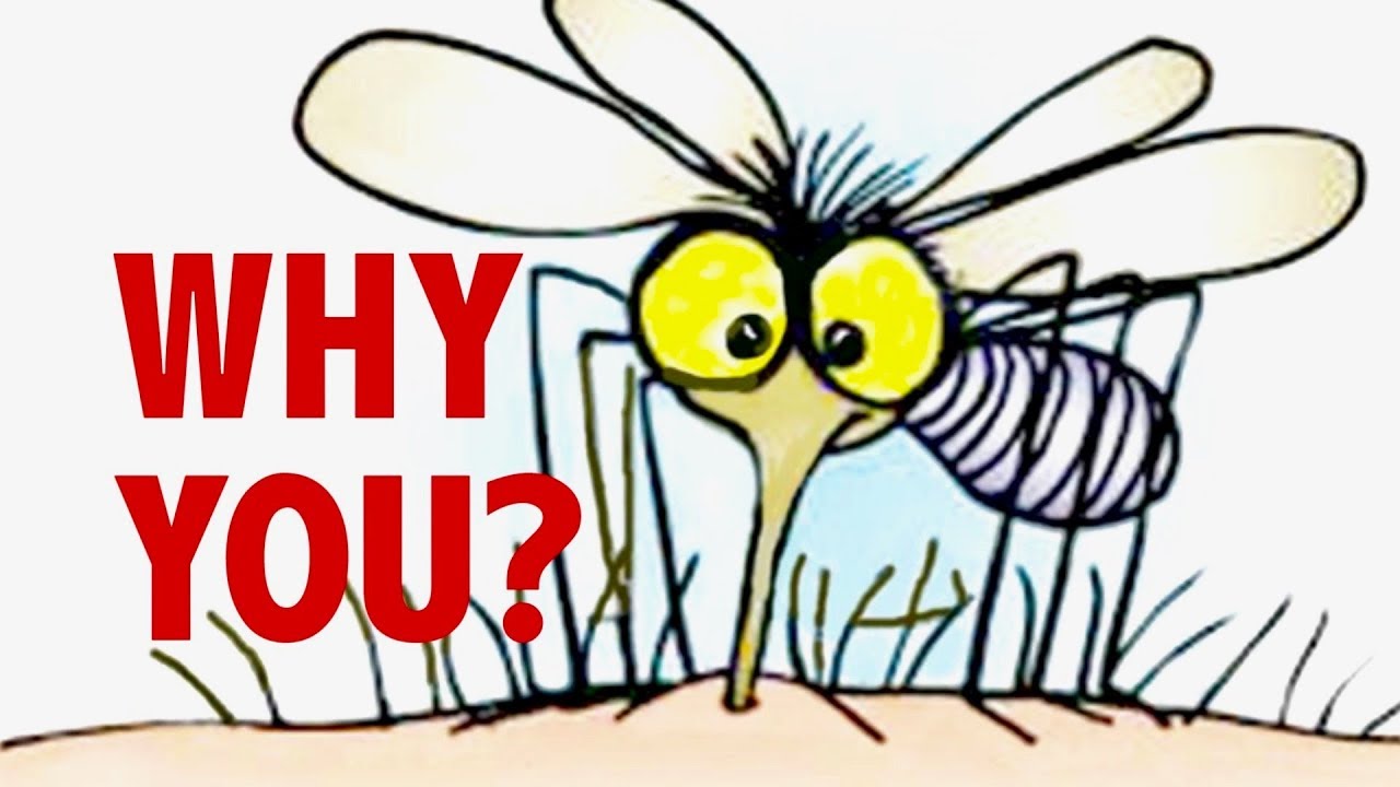 Public Health 5 Things That Make Mosquitoes Bite You MORE