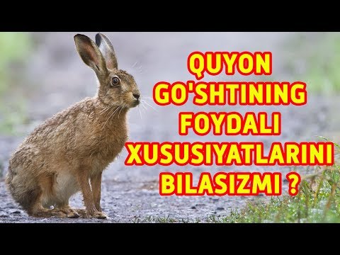 Video: Quyon Go'shti: Foydasi Va Zarari