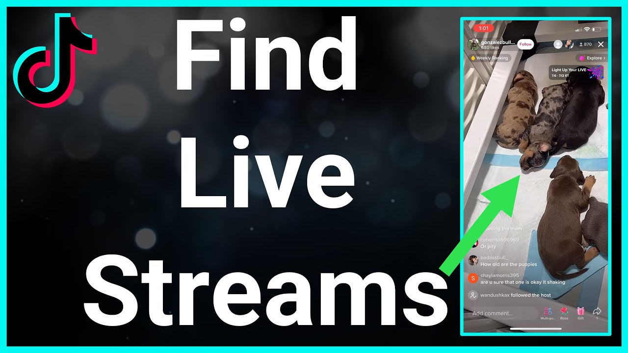 How To Find And Watch TikTok Live Streams