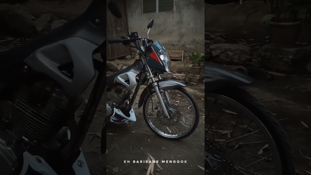 My DL150 Raider Gen 1 Concept.. 