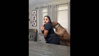 Disapproving Dog Grabs Owner’s Hair