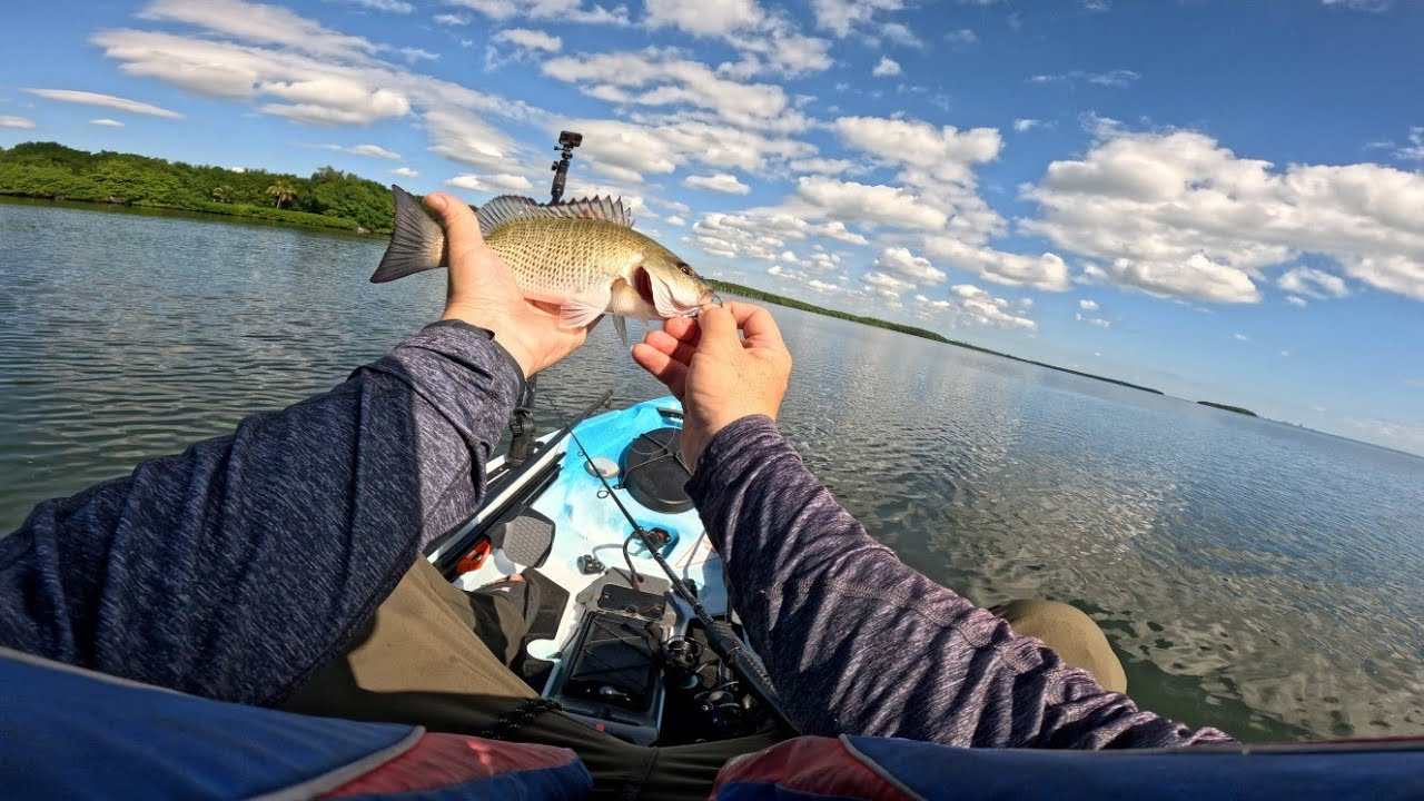 Кто сказал, что рыбалка с каяка — это не просто и не весело? MK 106 Sonata Deering