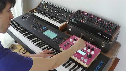 Microtonal MIDI Jam: Sonoclast Plastic Pitch Pro / Moog Sub 37 / Sequential OB-6 / Yamaha MODX