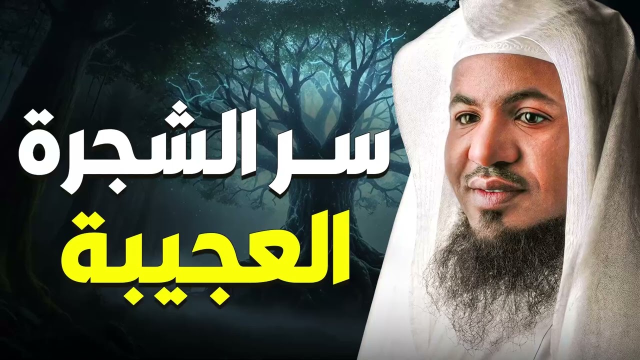 سر الشجرة العجيبة التي حيّرت العقول  الشيخ محمد الشنقيطي