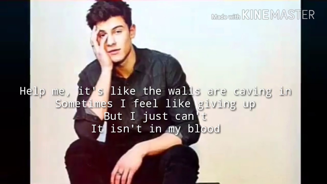 Shawn MendesIn My Blood [Lyrics] YouTube