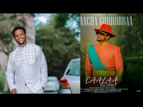 Caalaa Bultume Faacha Gorrorraa Sirbaa Ajibaa Bayyee Garaa Nama Nyattuu