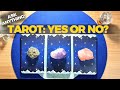 Pick a card yes or no  advice  tarot and oracles reading  ask the tarot anything