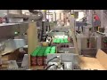 Switchback SPIRE-W-2 Series Wrap Around Case Packer Machine