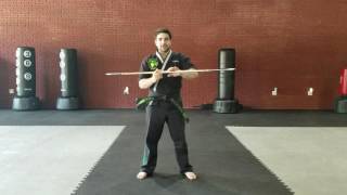 Bo Staff - Side Strike