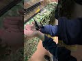 🦂サソリとたわむれる