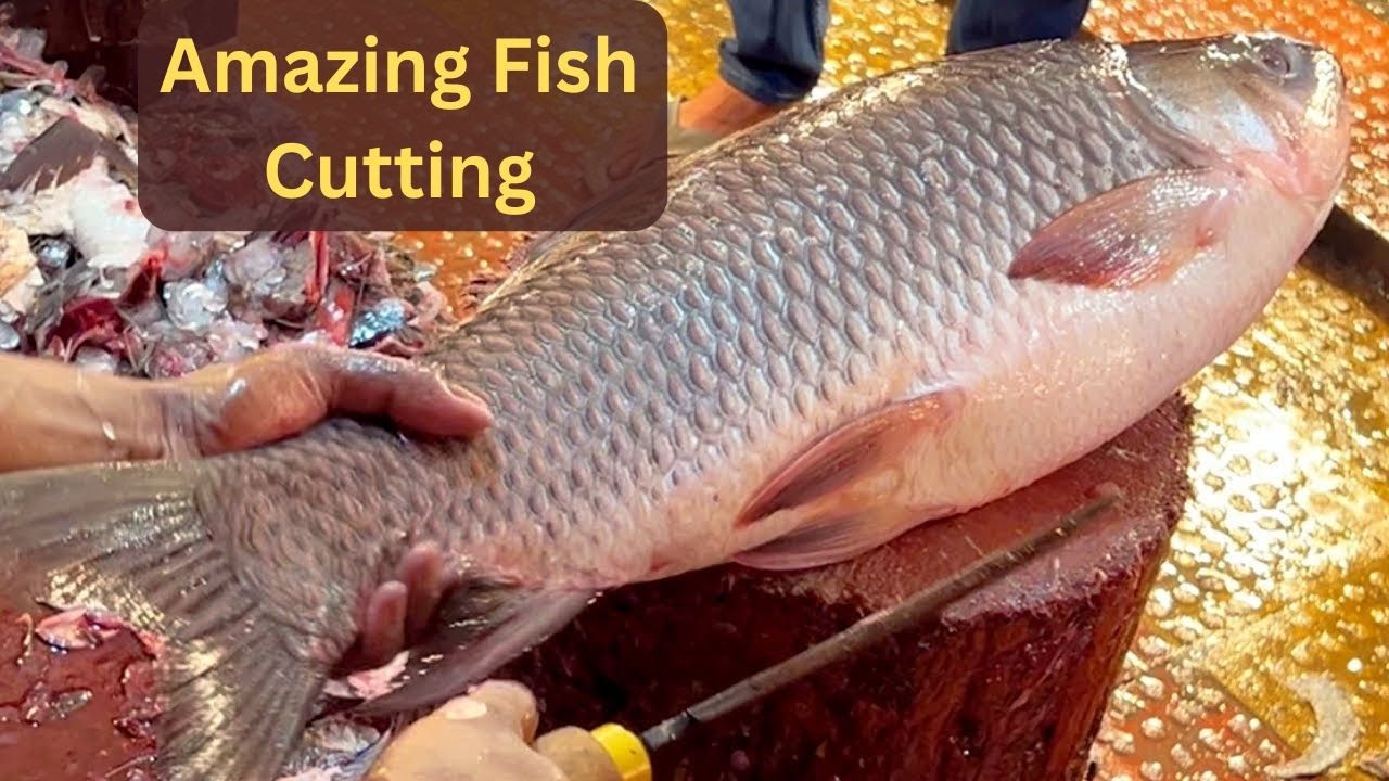 Awesome fish cutting  video 