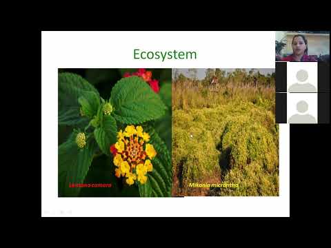 Biological Invasion and Vegetation types in Nepal..class 11