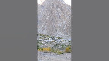 #shorts #ytshorts #youtubeshorts #nature #dastoor #naturaltype996