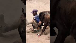Vaqueiro bom não dá moleza. Na hora da corrida, mostra coragem, firmeza e decisão. #pegadeboi