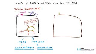 2023 Haziran Dus Nasıl Soru Yakalıyoruz?