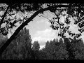 Honeypaw Live Stream #65 Močiutei