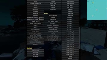 Mod Menu Stranded Deep Dutch