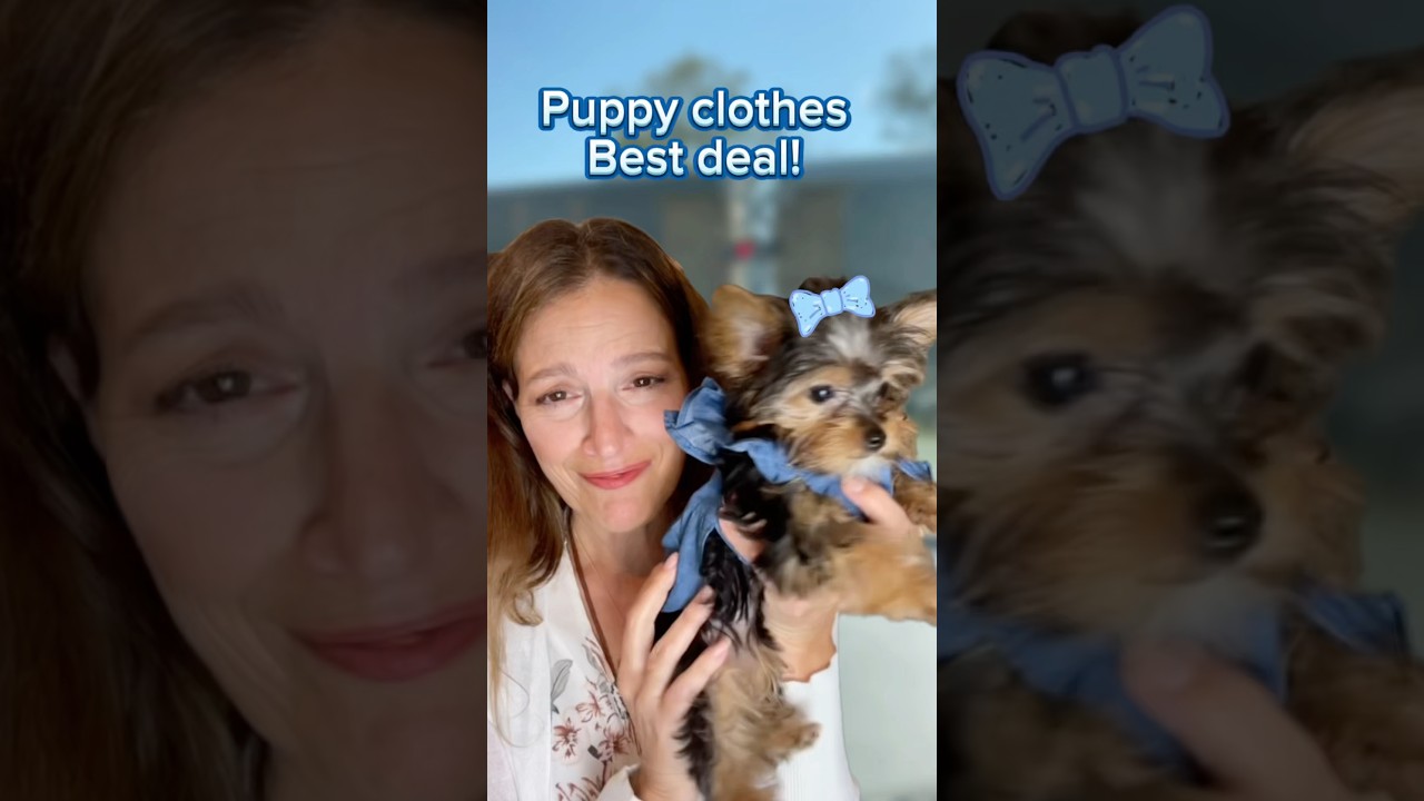 The SURPRISING way I saved my husband over $200 buying dog clothes