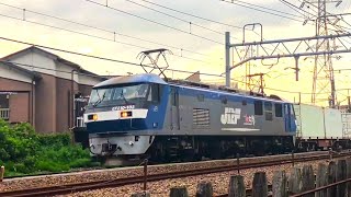 #119  JR貨物　EF65PF　EF66　EF210　貨物列車　尻手短絡線　PART2