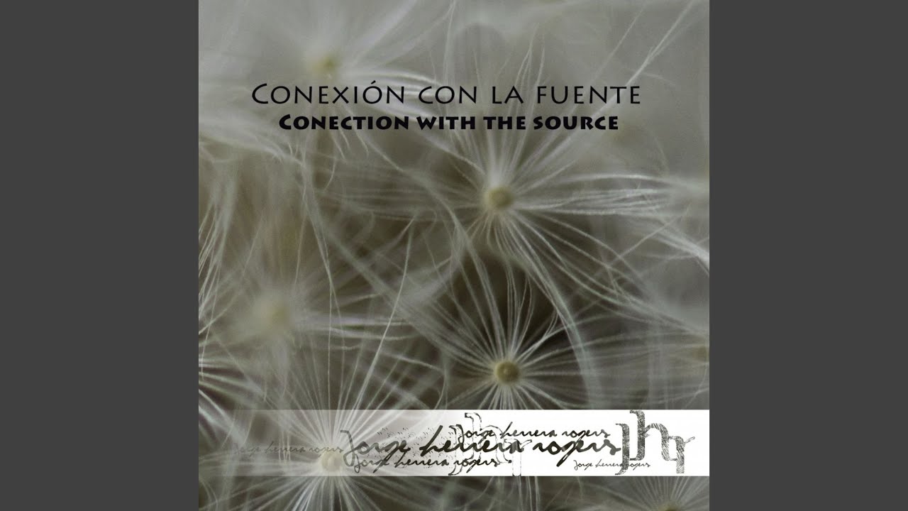 Conexión Con la Fuente