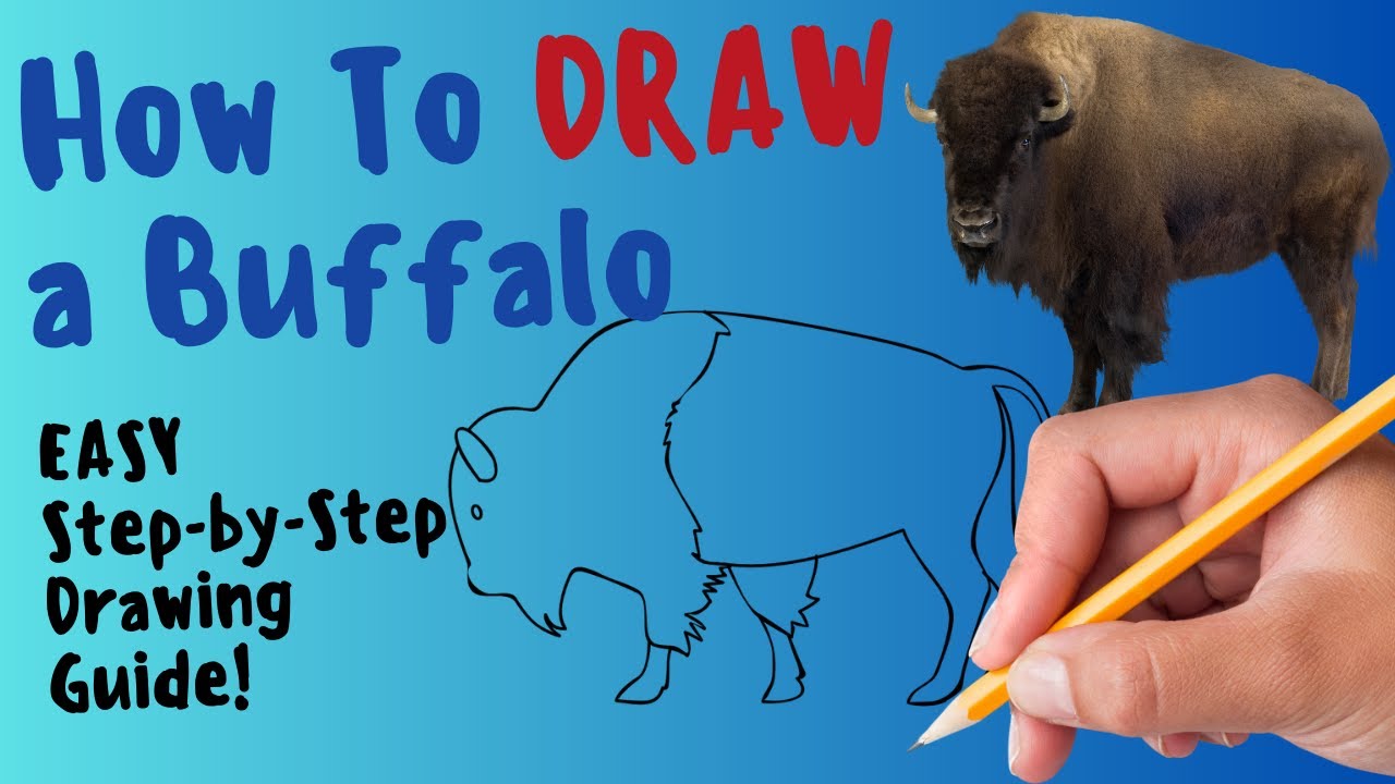 How To Draw A Buffalo Fun And Easy Step By Step Drawing And Coloring Maxresdefault