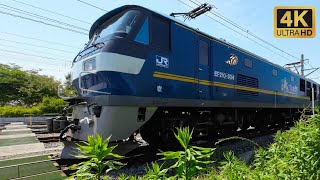 吊り掛け駆動の響く重低音 VVVFインバーター JR貨物 1070レ EF210-334 発車動画(2022/05/29)Departure scenery of freight train