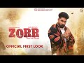 Zorr  official first look  batra film studios  directed by kapil batra