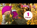 Masha and the bear  welcoming spring  1 hour  artoon collection 