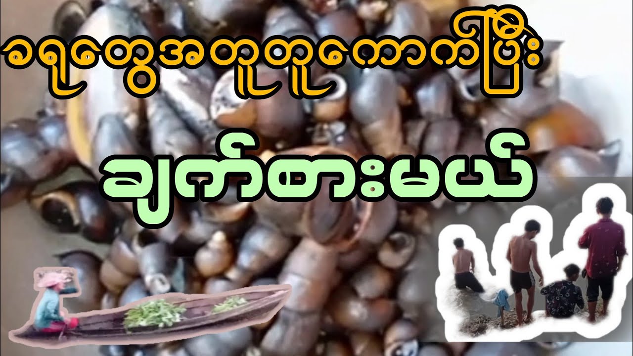 We will collect snails together and cook themခရုတွေအတူတူကောက်ပြီးချက်စားမယ်