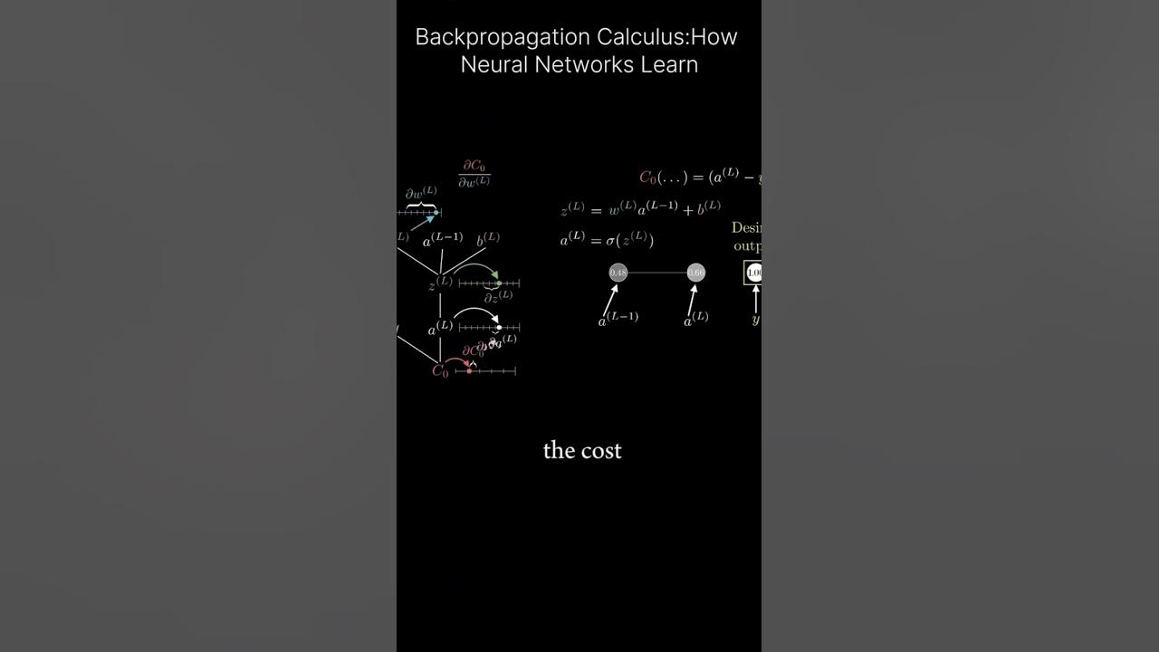 Back Propagation Calculus: How Neural Netwoks learn. # ...