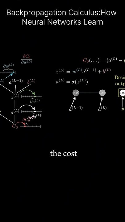 Back Propagation Calculus: How Neural Netwoks learn. # ...
