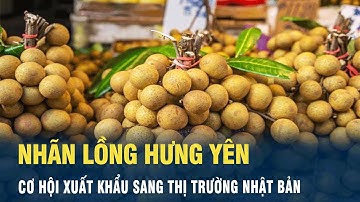 Nhãn lồng Hưng Yên cơ hội xuất khẩu sang thị trường Nhật Bản | VOV