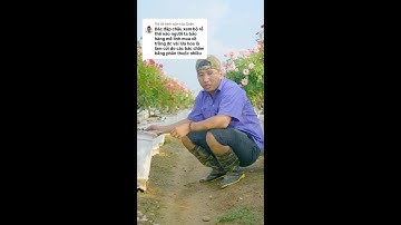 0386700914các loại hoa và cây cảnh của các nhà vườn mời mọi người chiêm ngưỡng