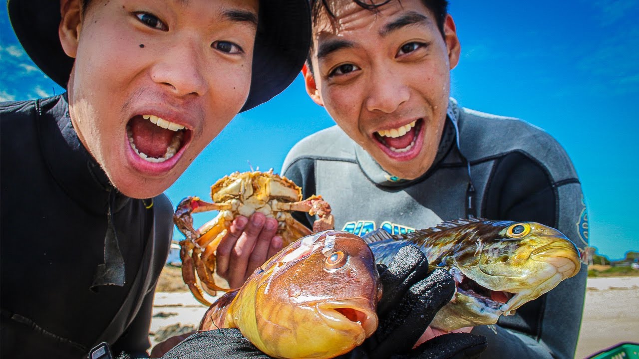 Spearfishing South Australia Wrasse & Dusky Morwong Catch and Cook!